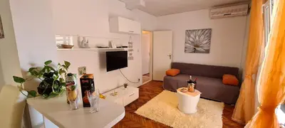 TV i/ili zabavni centar u objektu Apartments The view