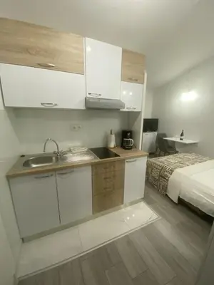 Kuhinja ili čajna kuhinja u objektu Apartman Freja II