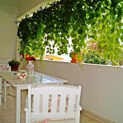 20 meters from the beach