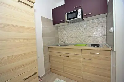 Kuhinja ili čajna kuhinja u objektu Studio Vanessa