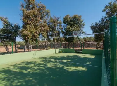 Tereni za tenis i/ili skvoš u sklopu objekta Holiday home Blato ili u blizini