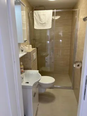 Kupaonica u objektu Outstanding large apartment for 6+2