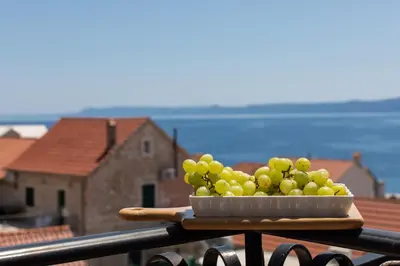 Priroda u blizini apartmana