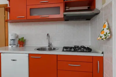 Kuhinja ili čajna kuhinja u objektu Apartments Paloc - Orange