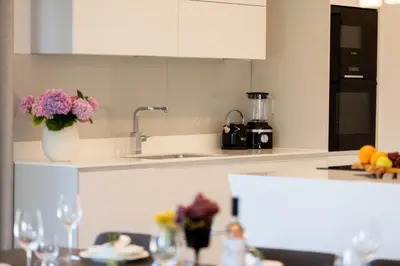 Kuhinja ili čajna kuhinja u objektu Luxury house Natanel