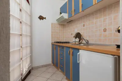 Kuhinja ili čajna kuhinja u objektu Apartments Paloc - Blue