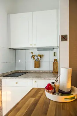 Kuhinja ili čajna kuhinja u objektu Apartments Nino