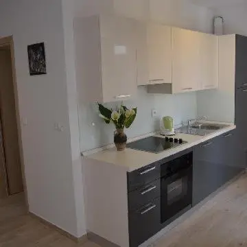 Kuhinja ili čajna kuhinja u objektu Apartments Leon
