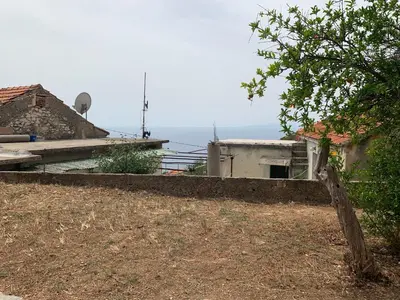 Priroda u blizini vila