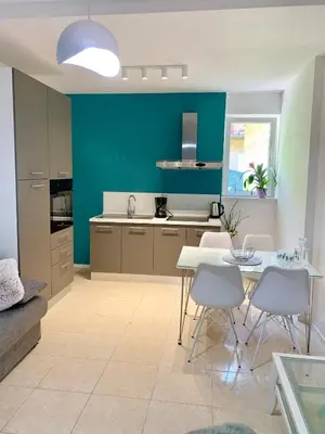 Kuhinja ili čajna kuhinja u objektu Deluxe Suites Mandić