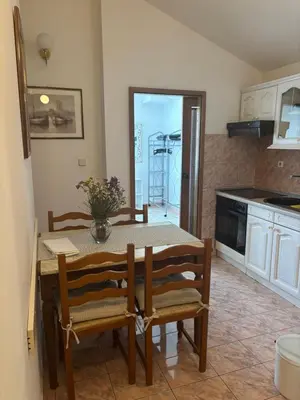 Kuhinja ili čajna kuhinja u objektu Apartman Gorana with swimming pool