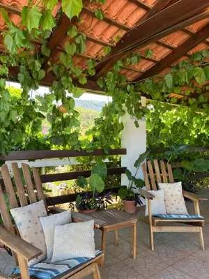 Vrt u objektu Apartman Gorana with swimming pool