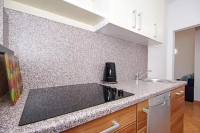 Kuhinja ili čajna kuhinja u objektu Apartments Silva