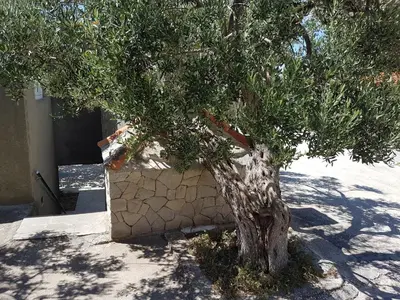 Tlocrt objekta Apartmani LuMa / apartman Luka