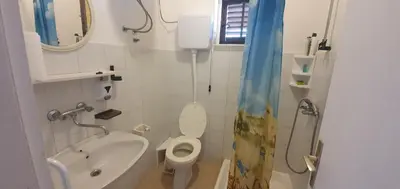 Kupaonica u objektu Apartmani Marijan Zavala-istok