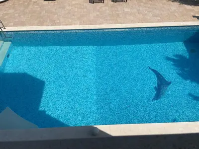Bazen u objektu Gorana studio apartment ili u blizini