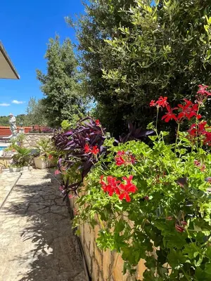 Vrt u objektu Gorana studio apartment