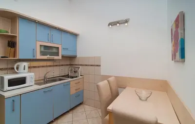 Kuhinja ili čajna kuhinja u objektu Apartments Lavica