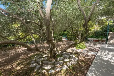 Vrt u objektu Apartments by the sea Brela, Makarska - 20186