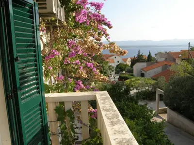 Priroda u blizini apartmana