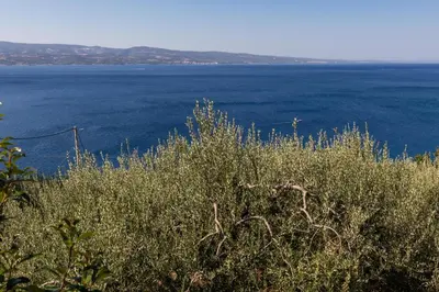 Priroda u blizini apartmana