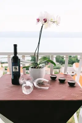Pića u objektu Apartment in Duce with sea view, balcony, air conditioning, WiFi 4167-5