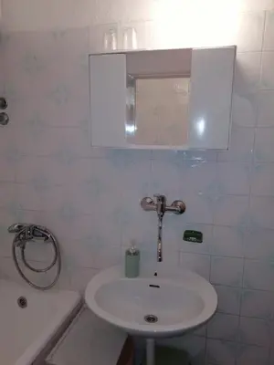 Kupaonica u objektu Apartment in Pisak with sea view, balcony, air conditioning, WiFi 195-1