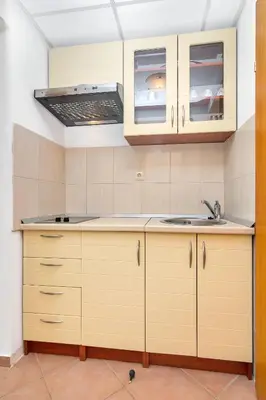 Kuhinja ili čajna kuhinja u objektu Apartment and Rooms Nikola