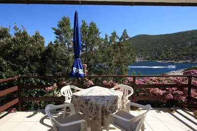 Priroda u blizini apartmana
