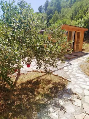 Vrt u objektu Secluded getaway tiny home - Skozanje bay, island Hvar