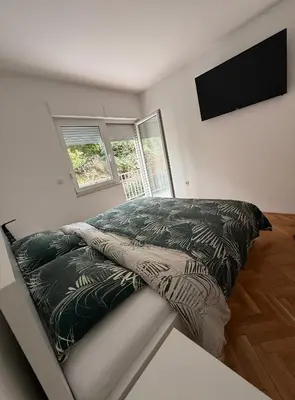 TV i/ili zabavni centar u objektu Apartman Dragan