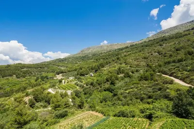 Priroda u blizini apartmana
