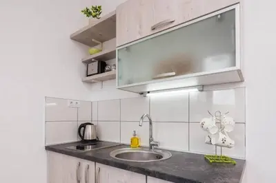 Kuhinja ili čajna kuhinja u objektu Carso Olea A2