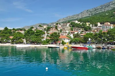 Priroda u blizini apartmana