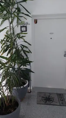 Tlocrt objekta OMIŠ WIND ROSE Apartment