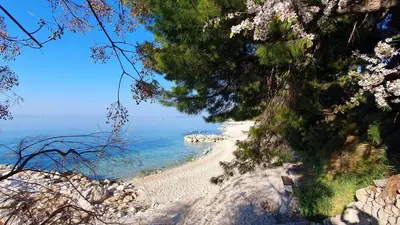 Priroda u blizini apartmana