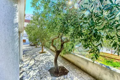 Vrt u objektu OMIŠ Dream house Blue sky