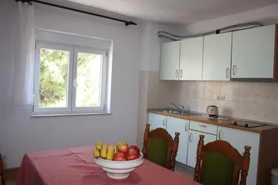 Kuhinja ili čajna kuhinja u objektu Apartments Iko Nemira