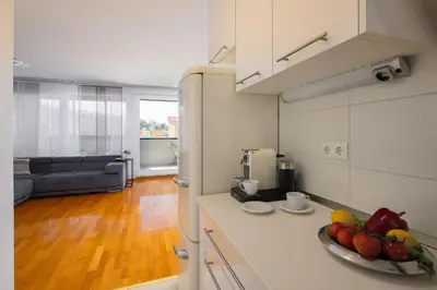 Kuhinja ili čajna kuhinja u objektu Comfortable Penthouse Apartment - Sita