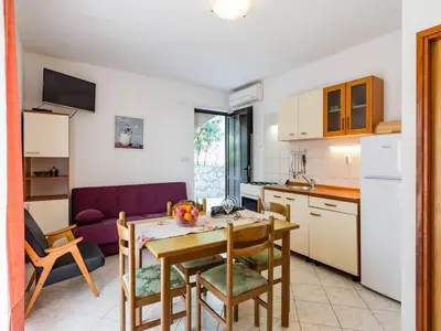 Kuhinja ili čajna kuhinja u objektu Apartments Villa Pelegrin