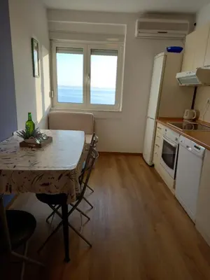 Kuhinja ili čajna kuhinja u objektu Apartment Galic