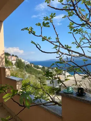 Priroda u blizini apartmana
